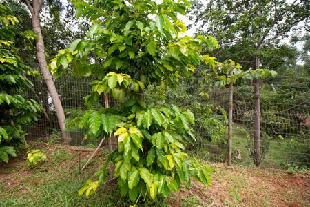 Casa de condomínio para alugar com 250m², 3 quartos e 2 vagasQuintal