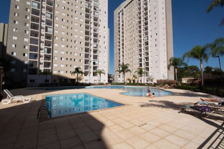 Apartamento à venda com 65m², 3 quartos e 1 vagaÁrea comum - Piscina