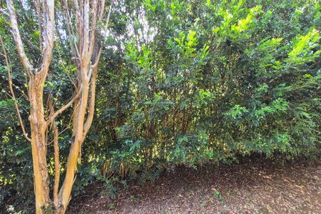 Casa de condomínio para alugar com 570m², 5 quartos e 9 vagasVista da Suíte 3 