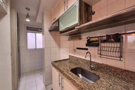 Cozinha  de apartamento para alugar com 2 quartos, 70m² em Jardim São Vicente, Campinas