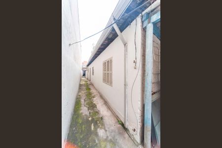 Casa para alugar com 200m², 3 quartos e sem vagaQuinta 