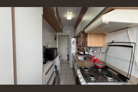 Foto 11 de apartamento à venda com 3 quartos, 62m² em Vila Progredior, São Paulo
