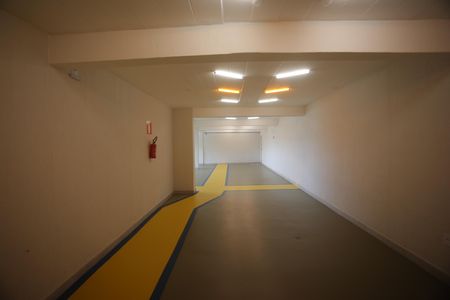 Apartamento à venda com 3 quartos, 82m² em Padre Eustáquio, Belo Horizonte