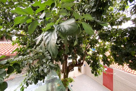 Casa à venda com 360m², 6 quartos e 6 vagasVista Quarto 4