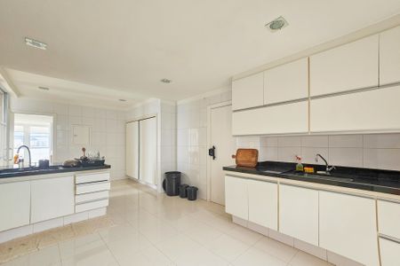Apartamento para alugar com 270m², 3 quartos e 2 vagascozinha