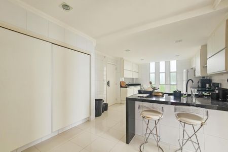 Apartamento para alugar com 270m², 3 quartos e 2 vagascozinha 