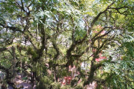 Apartamento à venda com 162m², 3 quartos e 1 vagaSala_Vista 