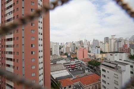 Vista de apartamento para alugar com 1 quarto, 47m² em Cambuci, São Paulo