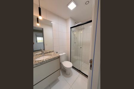 Banheiro de apartamento para alugar com 2 quartos, 57m² em Parque Industrial Lagoinha, Ribeirão Preto