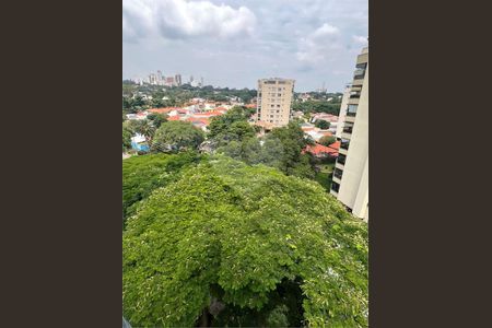 Apartamento à venda com 3 quartos, 100m² em Lapa, São Paulo