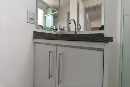 Banheiro de apartamento para alugar com 2 quartos, 47m² em Jardim Samambaia, Campinas