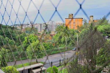 Sala - Janela Vista de apartamento para alugar com 3 quartos, 85m² em Buritis, Belo Horizonte