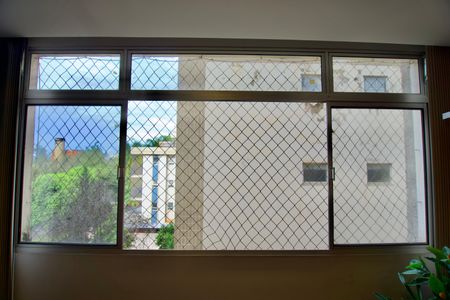 Sala - Janela de apartamento para alugar com 3 quartos, 85m² em Buritis, Belo Horizonte