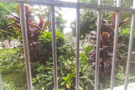 Apartamento para alugar com 46m², 2 quartos e 1 vaga Apartamento para alugar com 46m², 2 quartos e 1 vagaVista da Cozinha e Área de Serviço