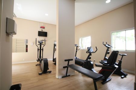 Apartamento à venda com 75m², 3 quartos e 2 vagasÁrea comum - Academia