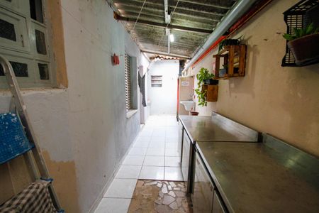 Casa para alugar com 250m², 8 quartos e sem vagaQuintal