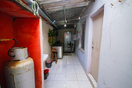 Casa para alugar com 250m², 8 quartos e sem vagaQuintal