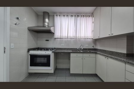 Apartamento para alugar com 265m², 3 quartos e 3 vagasCozinha