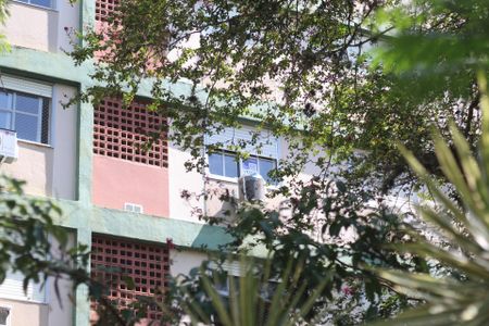 Apartamento à venda com 67m², 3 quartos e 1 vagaDetalhe