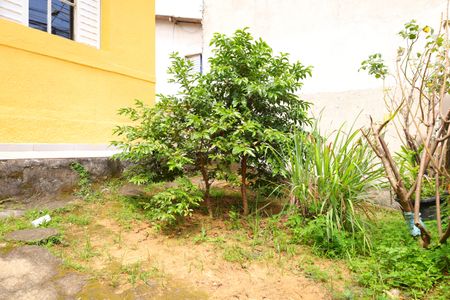 Casa para alugar com 85m², 3 quartos e 2 vagasVaranda - Jardim