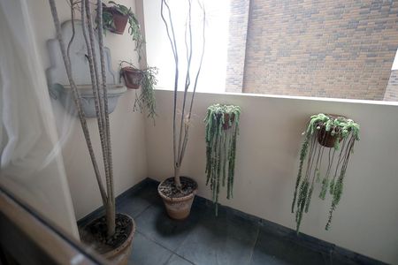 Apartamento para alugar com 278m², 3 quartos e 4 vagasSacada Sala de Jantar