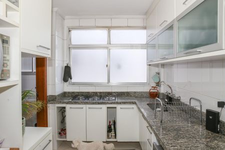 Apartamento à venda com 445m², 4 quartos e 4 vagas Apartamento à venda com 445m², 4 quartos e 4 vagasCozinha e Área de Serviço