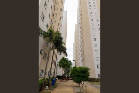 Apartamento à venda com 50m², 2 quartos e 1 vagaÁrea comum