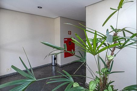 Apartamento à venda com 63m², 2 quartos e 1 vagahall social_2