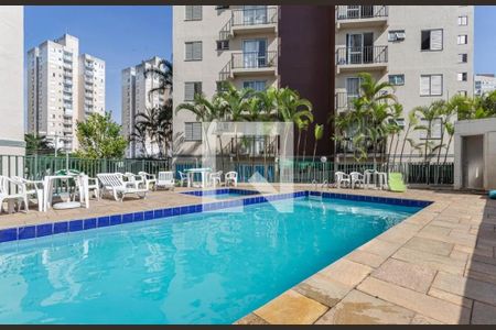 Área comum - Piscina de apartamento para alugar com 2 quartos, 48m² em Jardim Celeste, São Paulo