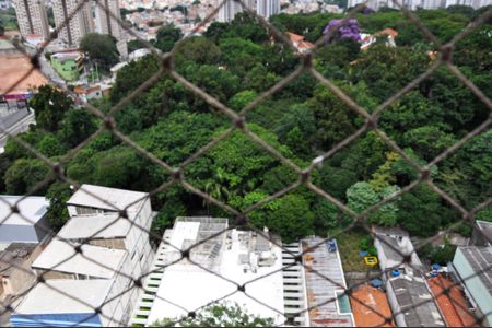 Apartamento para alugar com 69m², 3 quartos e 1 vagaDetalhe - Vista do Quarto 02