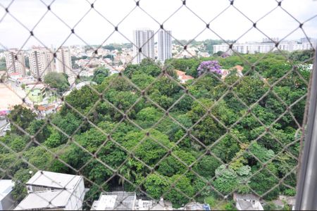 Apartamento para alugar com 69m², 3 quartos e 1 vagaDetalhe - Vista do Quarto 01