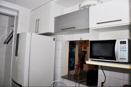 Apartamento à venda com 77m², 3 quartos e 2 vagasDetalhe - Cozinha