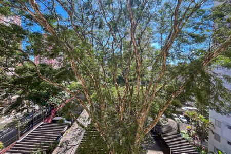 Apartamento para alugar com 75m², 2 quartos e 1 vaga Apartamento para alugar com 75m², 2 quartos e 1 vagaVista do Quarto 1