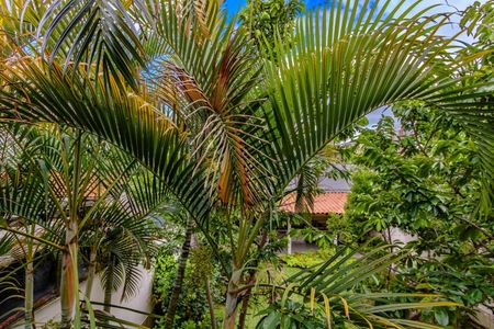 Casa para alugar com 359m², 4 quartos e 3 vagas Casa para alugar com 359m², 4 quartos e 3 vagasÁrea externa