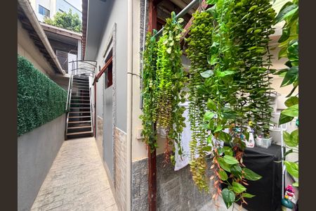 Casa para alugar com 38m², 1 quarto e sem vagaÁrea de serviço