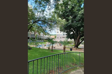 Apartamento para alugar com 72m², 3 quartos e 1 vagaArea de lazer condominio