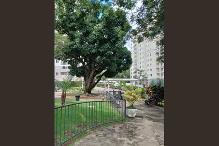 Apartamento para alugar com 72m², 3 quartos e 1 vagaArea de lazer condominio