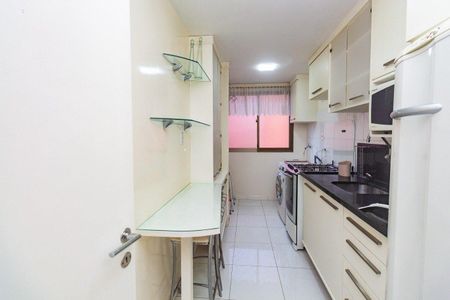 Cozinha  de apartamento para alugar com 2 quartos, 50m² em Chácara das Pedras, Porto Alegre