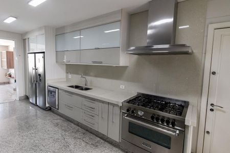 Apartamento à venda com 280m², 4 quartos e 4 vagas Apartamento à venda com 280m², 4 quartos e 4 vagasCozinha - Armários
