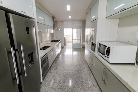 Apartamento à venda com 280m², 4 quartos e 4 vagas Apartamento à venda com 280m², 4 quartos e 4 vagasCozinha - Armários