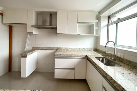 Apartamento à venda com 250m², 3 quartos e 4 vagas Apartamento à venda com 250m², 3 quartos e 4 vagasCozinha