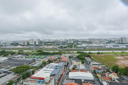 Apartamento para alugar com 35m², 2 quartos e sem vagaVista Quarto 2