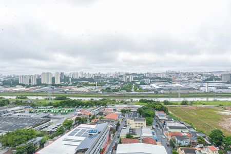 Vista do Quarto 1 de apartamento para alugar com 2 quartos, 35m² em Veleiros, São Paulo
