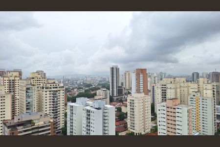 Studio para alugar com 28m², 1 quarto e sem vagaVista