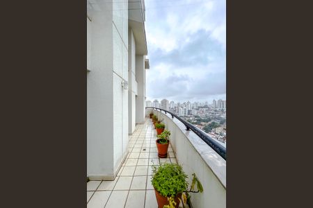 Apartamento para alugar com 360m², 5 quartos e 4 vagasVaranda
