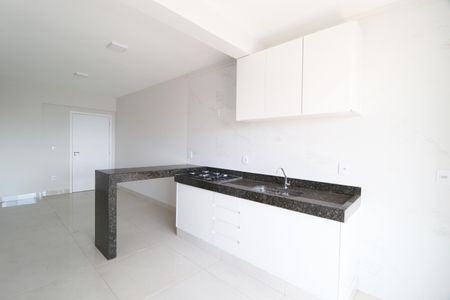 Apartamento para alugar com 63m², 2 quartos e 1 vagaCozinha