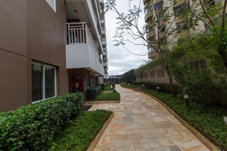 Apartamento para alugar com 86m², 2 quartos e 2 vagasÁrea comum