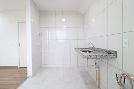 Cozinha de apartamento para alugar com 2 quartos, 46m² em Chácaras Tubalina E Quartel, Uberlândia