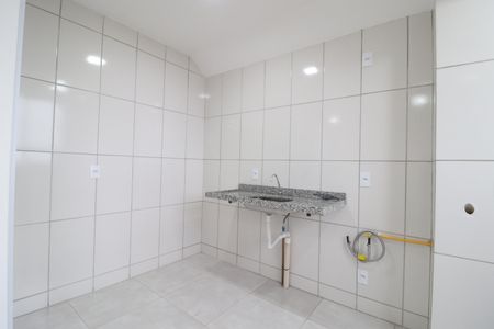 Cozinha de apartamento para alugar com 2 quartos, 46m² em Chácaras Tubalina E Quartel, Uberlândia