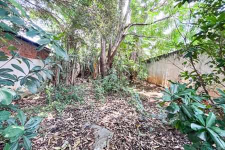 Casa para alugar com 464m², 3 quartos e 4 vagasQuintal